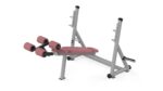 B320 DECLINE BENCH PRESS - Görsel 8