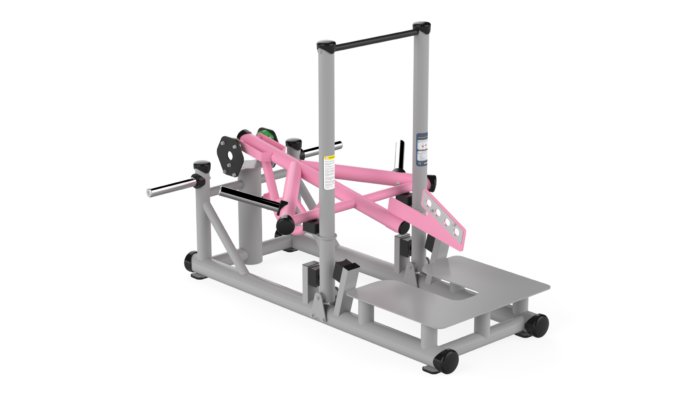 F210 FORCELINE BELT SQUAT - Görsel 3