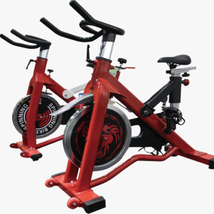 sertay sport ssp03 spin bisiklet