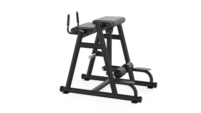 B365 REVERSE HYPER EXTENSION - Görsel 2