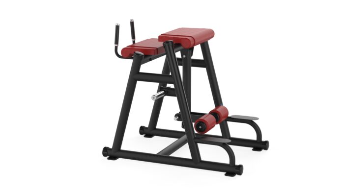 B365 REVERSE HYPER EXTENSION - Görsel 12