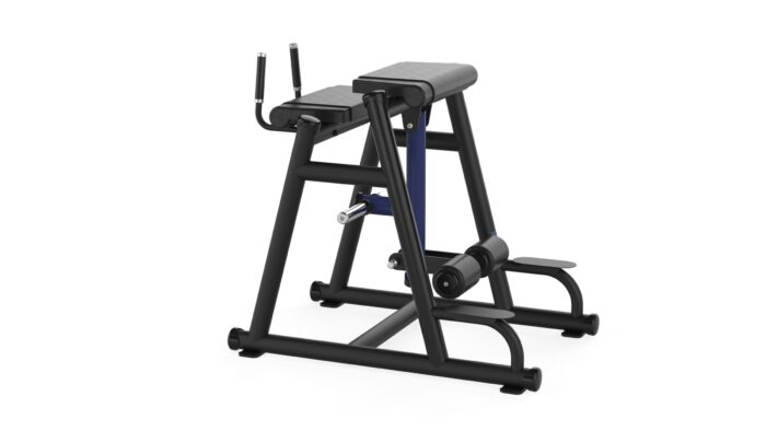 B365 REVERSE HYPER EXTENSION - Görsel 13