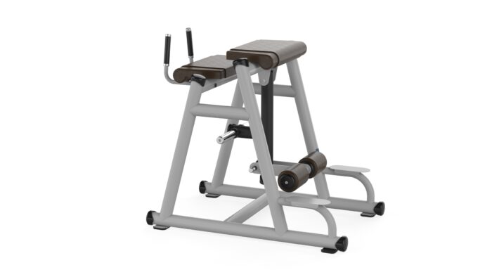 B365 REVERSE HYPER EXTENSION - Görsel 6