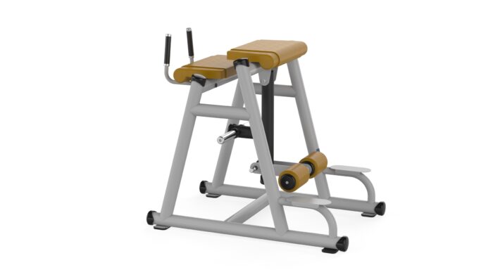 B365 REVERSE HYPER EXTENSION - Görsel 7