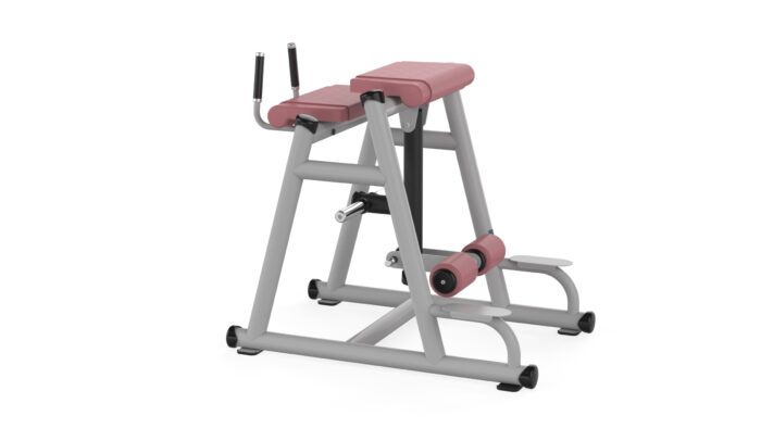 B365 REVERSE HYPER EXTENSION - Görsel 9